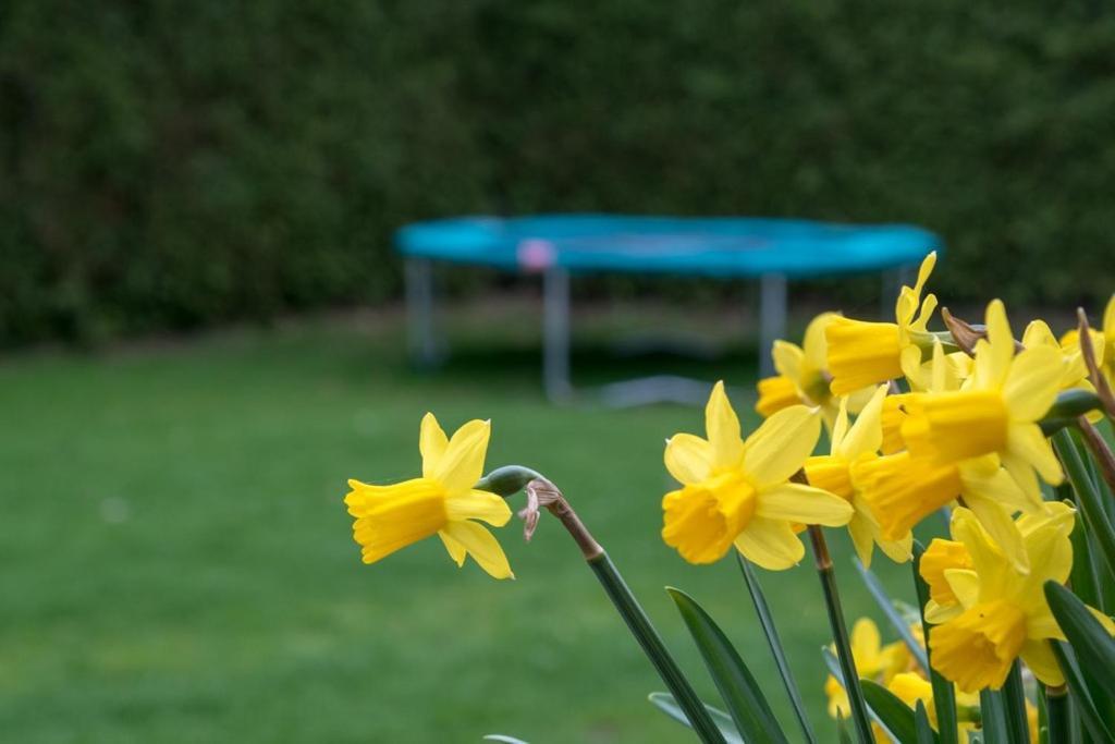 Groepsaccommodatie Kom In De Bedstee Sprookje Winterswijk Exteriér fotografie